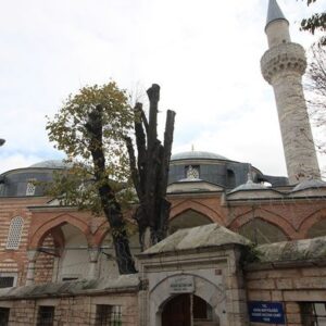 Bulgur Palas Yedinci Tepe Haseki Ve Cerrahpasa