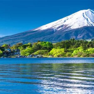 Sakura Zamani Japonya Nisan