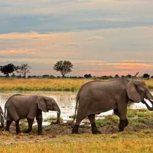 Guney Afrika Victoria Selaleri Botswana Safari Turu 347