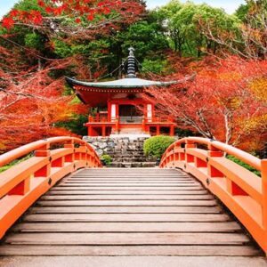 Japonya Koyo Zamani