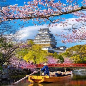 Sakura Doneminde Japonya Turu